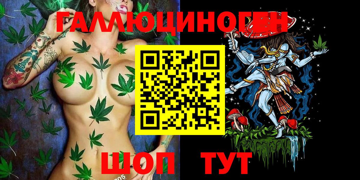 Галлюциногенные грибы Psilocybe  Вход с VPN  Мариинск 